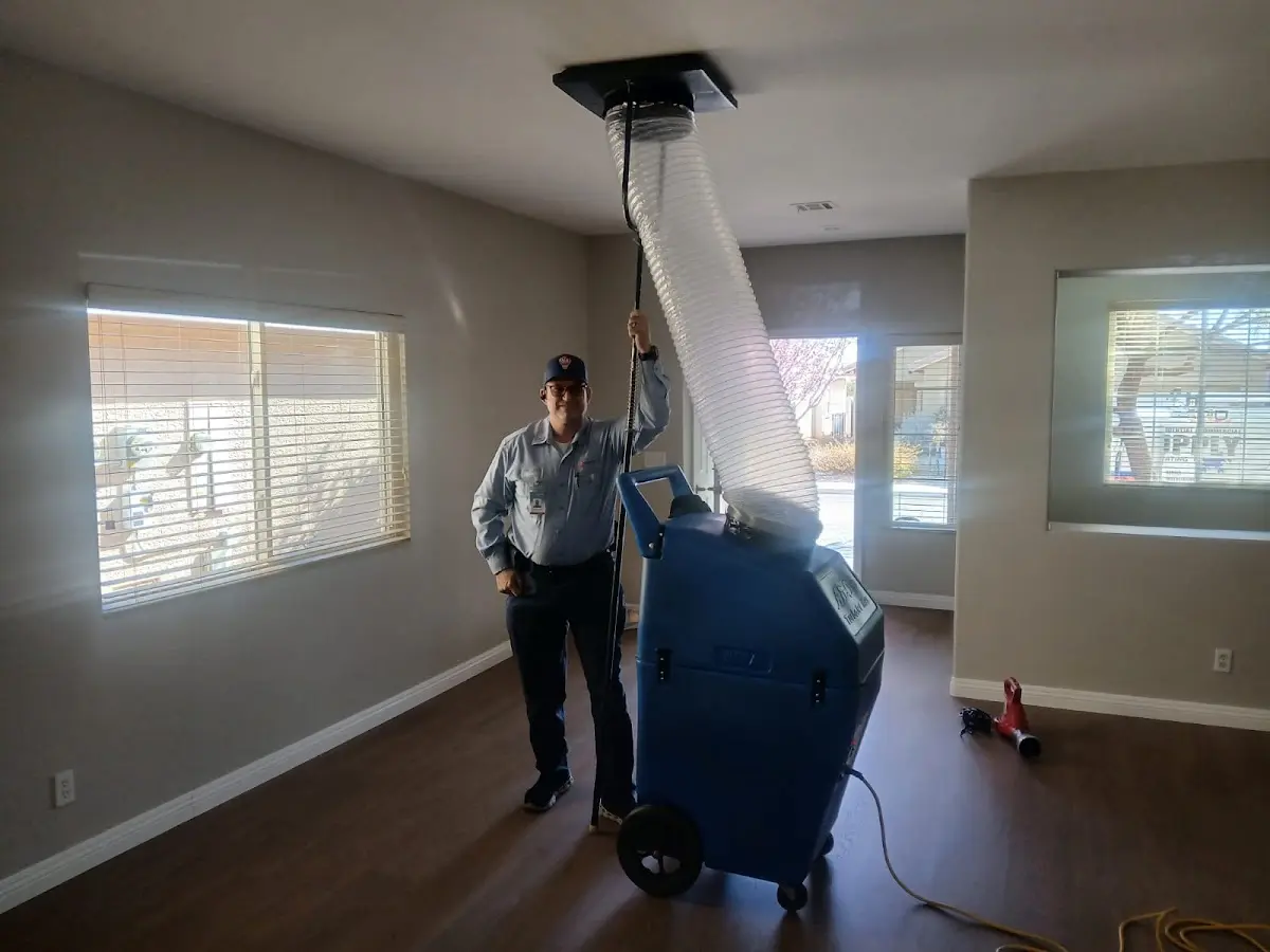 Professional Dryer Vent Cleaning work inside a Edgewood home